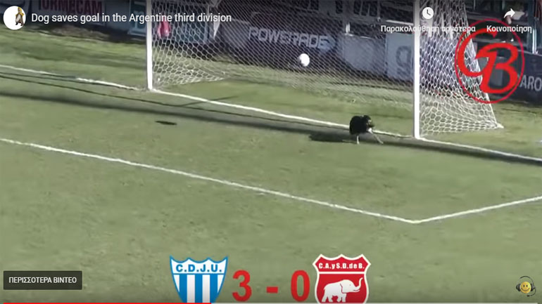 Σκύλος απέκρουσε σίγουρο γκολ στην Αργεντινή